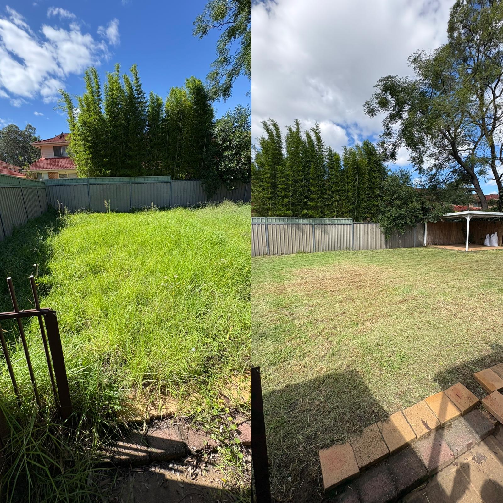 Garden maintenance before and after — large overgrown backyard