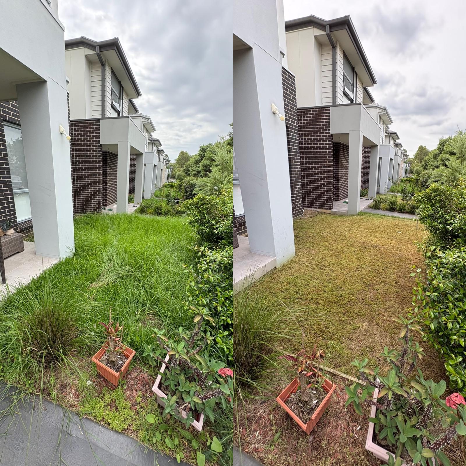 Lawn mowing before and after — strata complex townhouses